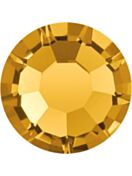 Maxima Rose ss8 Topaz F