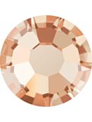 Maxima Rose ss16 Crystal Golden Honey F