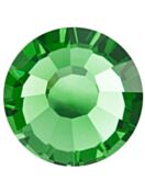 Maxima Rose ss34 Shamrock F