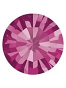 Maxima Chaton pp10 Fuchsia F