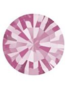 Maxima Chaton pp20 Rose F