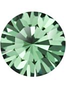 Maxima Chaton pp22 Erinite F