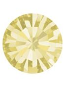 Maxima Chaton pp23 Jonquil F