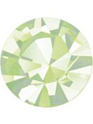 Optima Chaton pp32 Chrysolite F