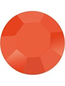 Optima Chaton ss20 Coral F