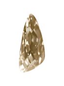 Wing 18x7.8mm Crystal Golden Shadow