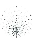 Hotfix Rhinestone Ornament Transfer "Peacock" ss6 160x161mm Jet HF (AU010)