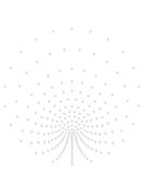 Hotfix Rhinestone Ornament Transfer "Peacock" ss16 297x300mm Crystal HF (AU011)