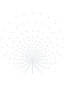 Hotfix Rhinestone Ornament Transfer "Peacock" ss20 379x383mm Crystal HF (AU011)