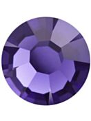 Maxima Rose ss7 Purple Velvet F