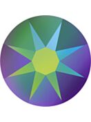 (RETURNED GOODS) Xirius Rose Rhinestone ss20 Crystal Scarabaeus Green F