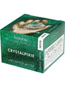CRYSTAL PIXIE Petite Nail Box Jungle Green (10 Grams)