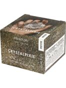 CRYSTAL PIXIE Petite Nail Box Deluxe Rush (10 Grams)